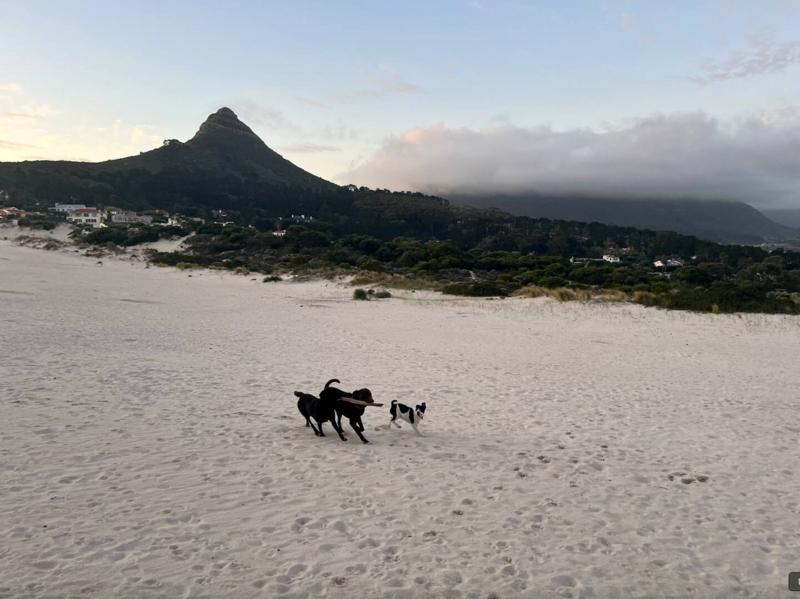 To Let 1 Bedroom Property for Rent in Helgarda Estate Western Cape
